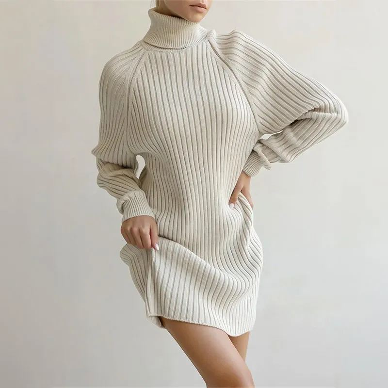 Ribbed Turtleneck Sweater Dress