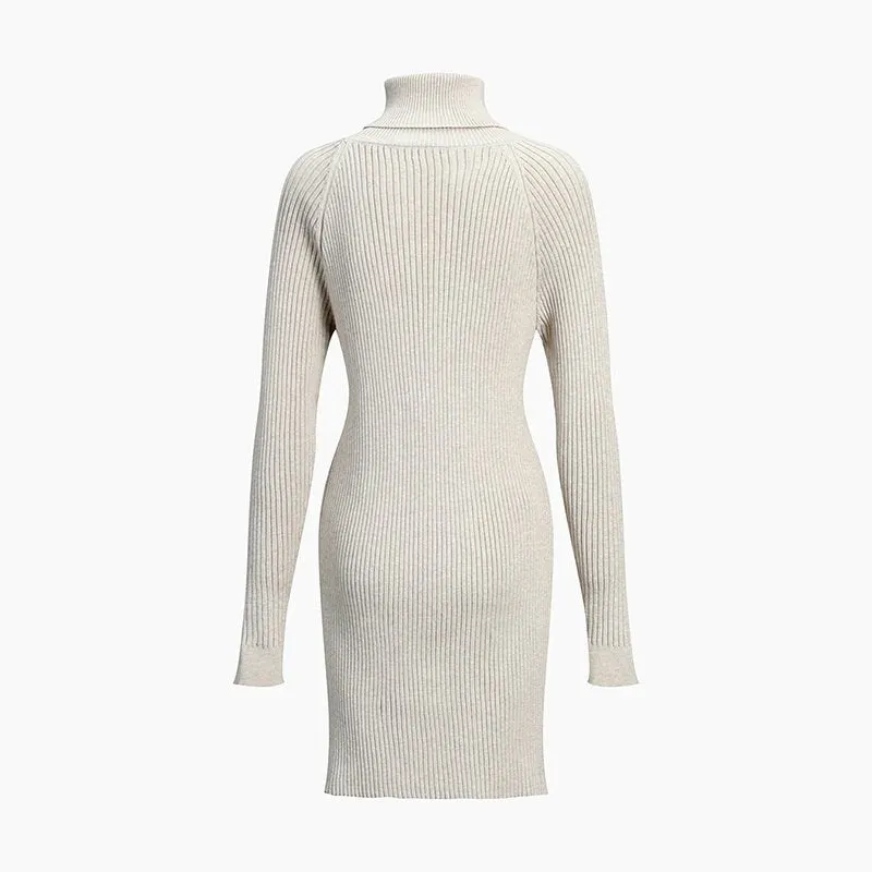 Ribbed Turtleneck Sweater Dress