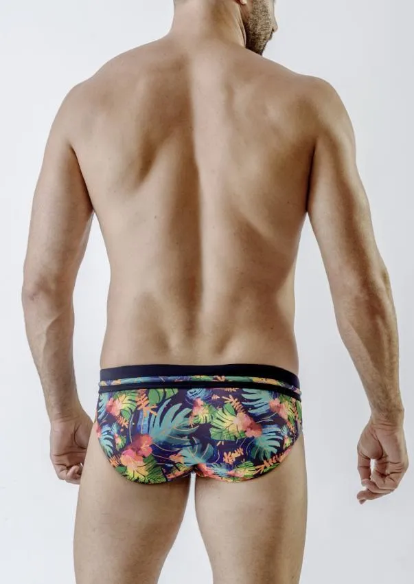 Swimming Briefs 1715s2