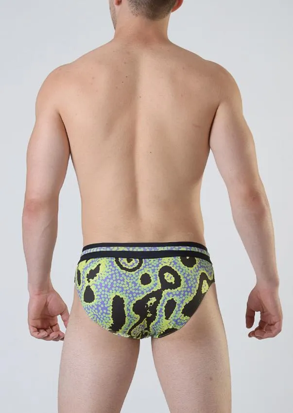 Swimming Briefs 1802s2