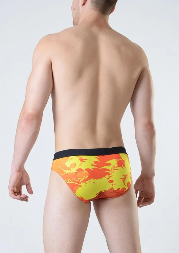 Swimming Briefs 1815s2